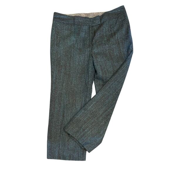 16 Yansi Fugel Tweed Lined Wool Blend Pants Blue Button Zip - Picture 1 of 15